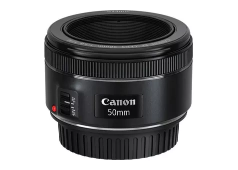 Фото: Canon EF 50mm f/1.8 STM
