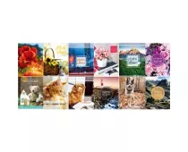 Фото: UFO 10x15x96 PP-4696 Super