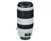 Фото: Canon EF 100-400mm f/4.5-5.6L IS II USM