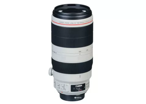 Фото: Canon EF 100-400mm f/4.5-5.6L IS II USM