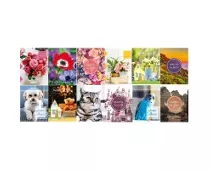 Фото: UFO 10x15x96 PP-4696 Best