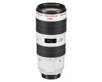 Фото: Canon EF 70-200mm f/2.8L IS III USM