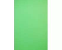 Фото: Savage Infinity Vinyl Chroмa Green 1,52x3,65м (V46-0512)