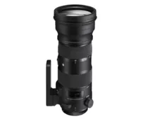 Фото: Sigma 150-600mm f/5-6.3 DG OS HSM Contemporar (Nikon)