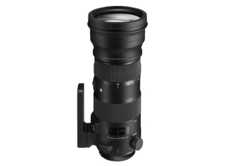 Фото: Sigma 150-600mm f/5-6.3 DG OS HSM Contemporar (Nikon)