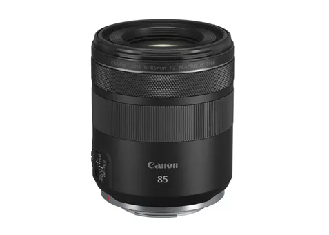 Фото: Canon RF 85mm f/2 Macro IS STM
