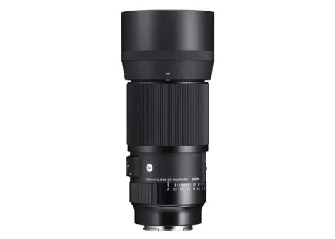 Фото: Sigma 105mm f/2.8 DG DN Macro Art (Sony E)