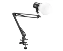 Фото: Godox Litemons LC30Bi-K1 Bi-color LED Light Kit