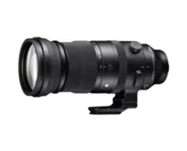 Фото: Sigma 150-600mm F5-6.3 DG DN OS sport (Leica L)