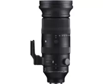 Фото: Sigma 60–600mm F4.5–6.3 DG OS HSM Sport (Leica L)