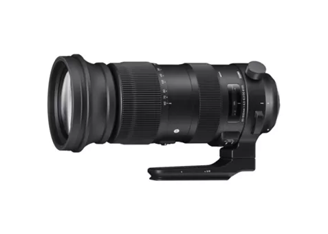 Фото: Sigma 60-600mm F4.5-6.3 DG OS HSM Sport (Nikon)