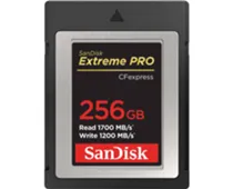 Фото: SanDisk CFexpress 256 GB Extreme PRO Type B (SDCFE-256G-GN4NN)
