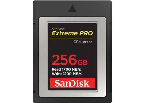 Фото: SanDisk CFexpress 256 GB Extreme PRO Type B (SDCFE-256G-GN4NN)