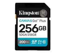 Фото: Kingston 256GB SDXC R200/W160MB/s V30 UHS-I