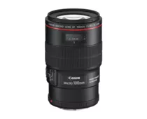 Фото: Canon EF 100mm f/2.8L IS USM Macro 3554B005