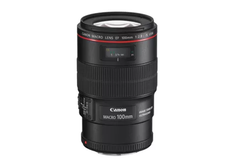 Фото: Canon EF 100mm f/2.8L IS USM Macro 3554B005
