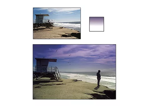 Фото: Cokin P 126 Gradual Mauve M1