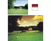 Фото: Cokin P 125 Gradual Tobacco T2